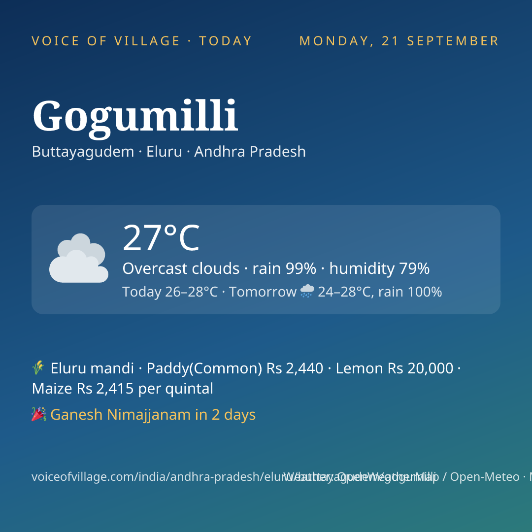 Gogumilli today