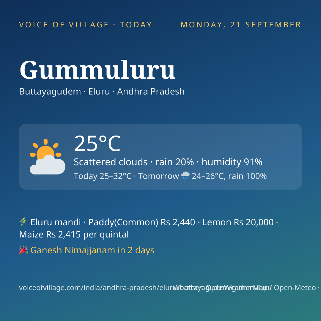 Gummuluru today