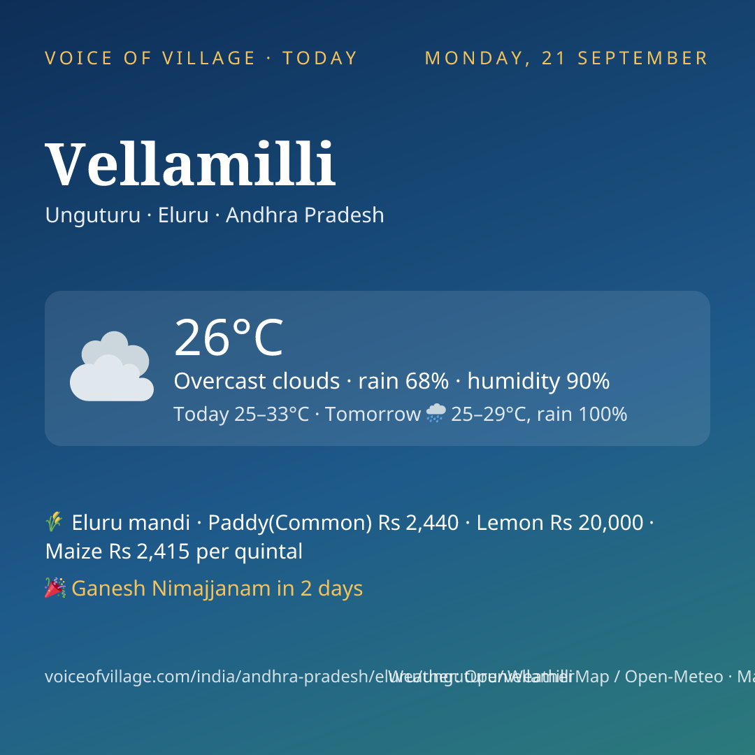 Vellamilli today