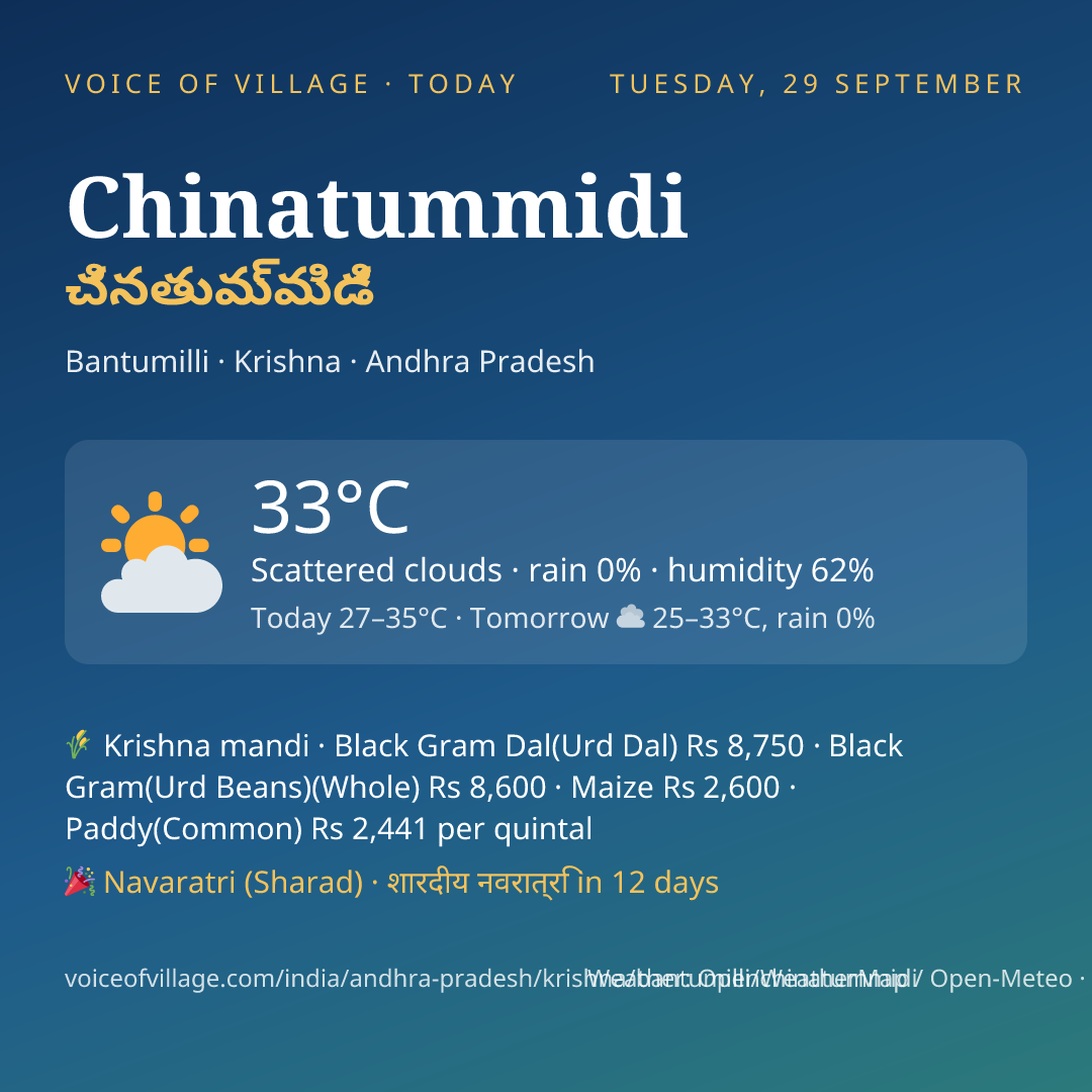 Chinatummidi today