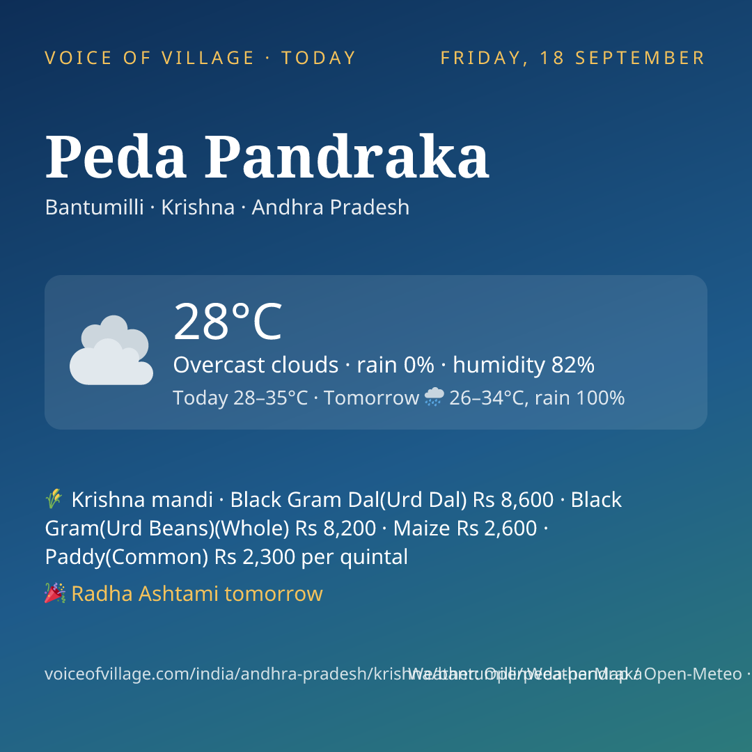 Peda Pandraka today