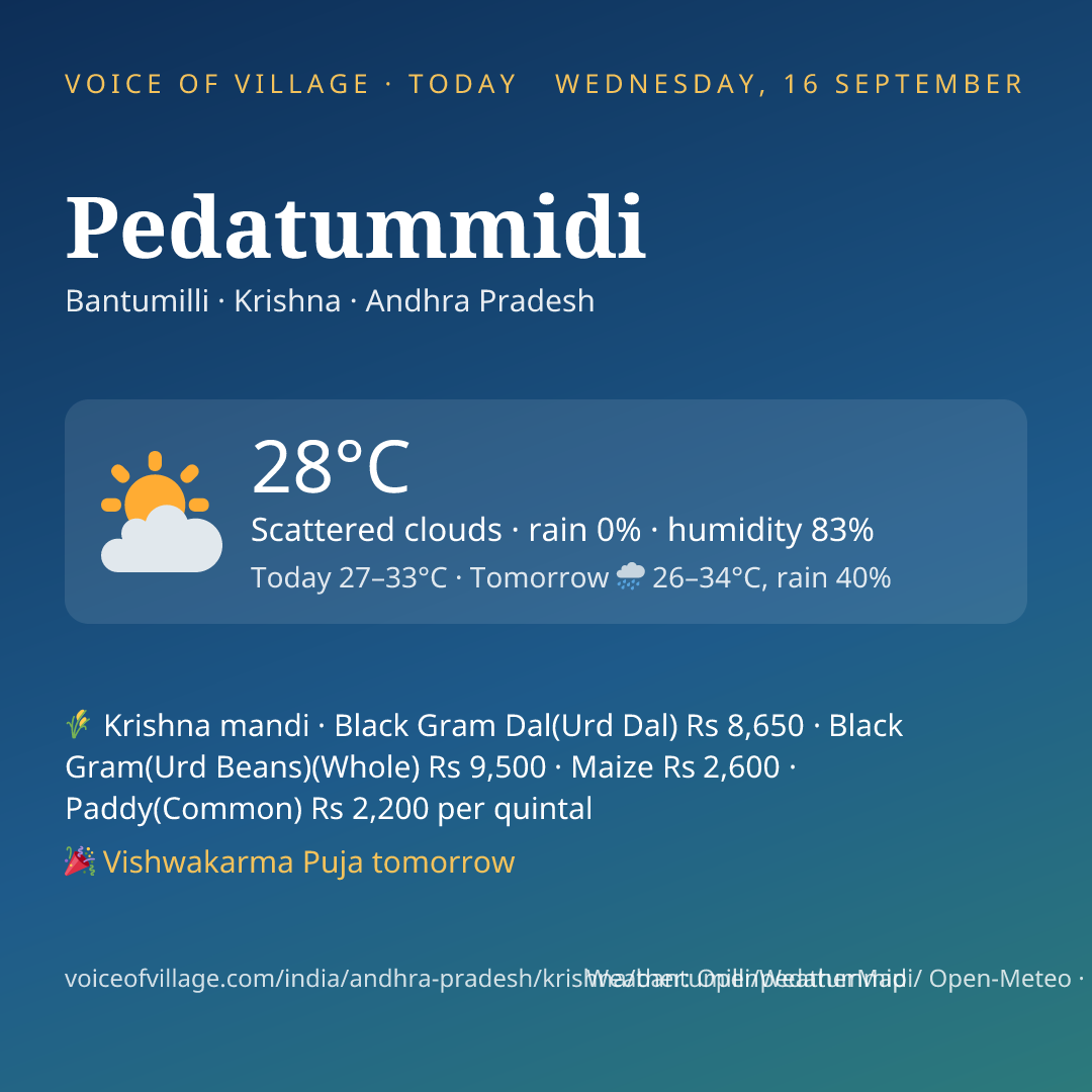 Pedatummidi today