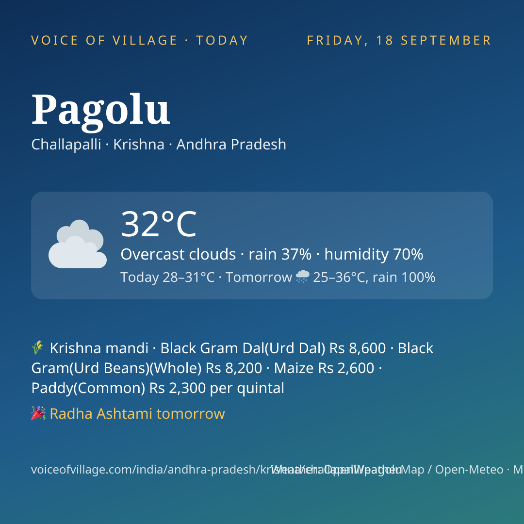 Pagolu today