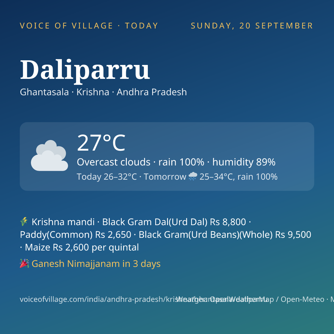 Daliparru today