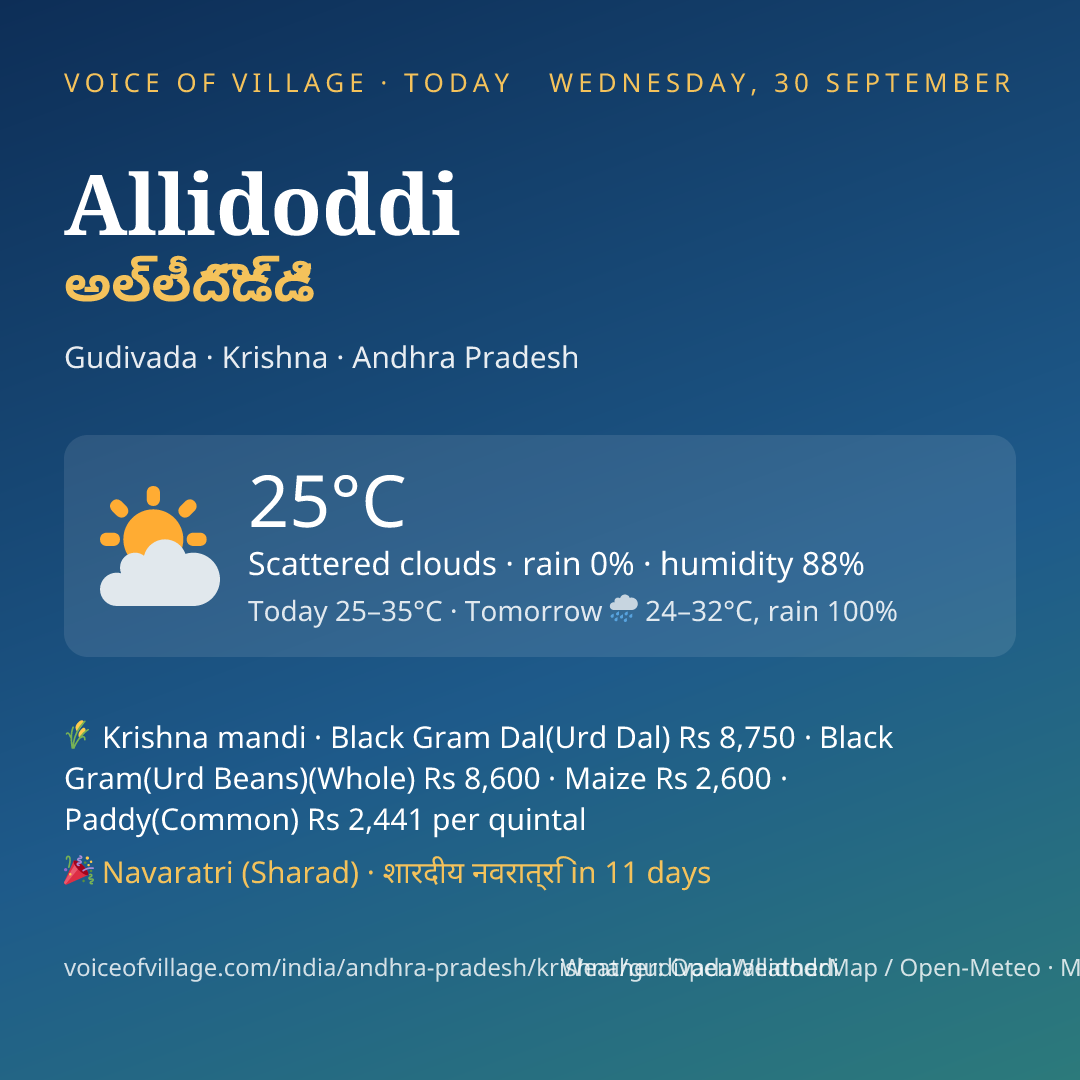 Allidoddi today