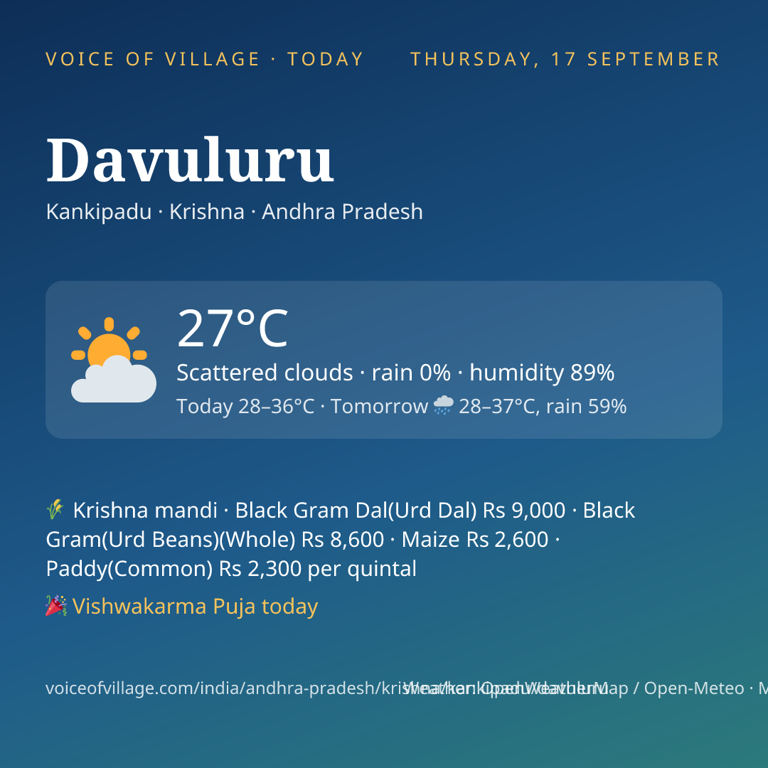 Davuluru today