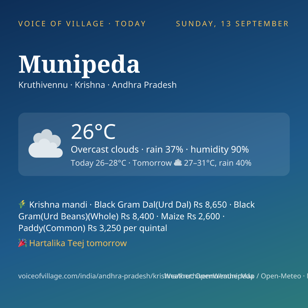 Munipeda today