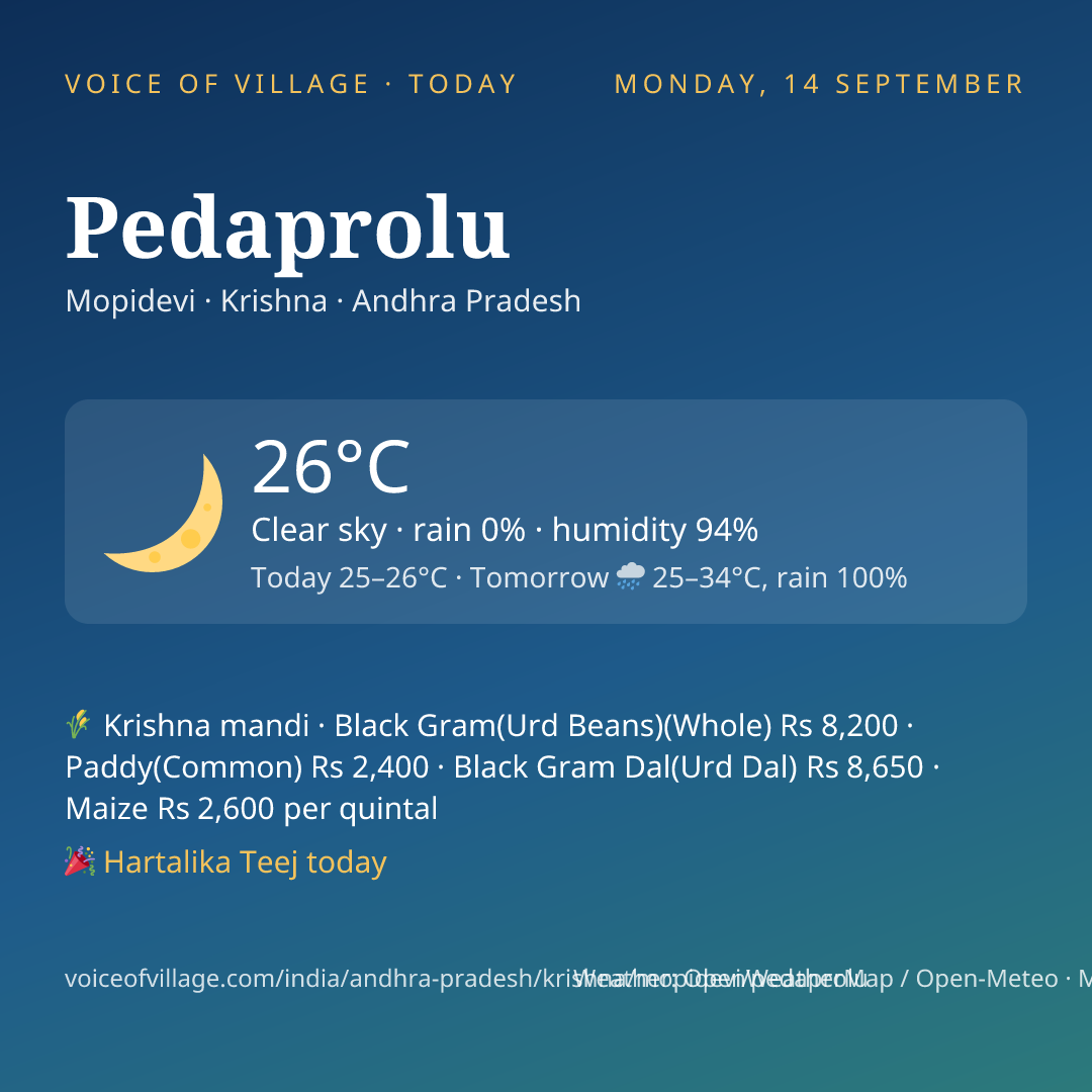 Pedaprolu today