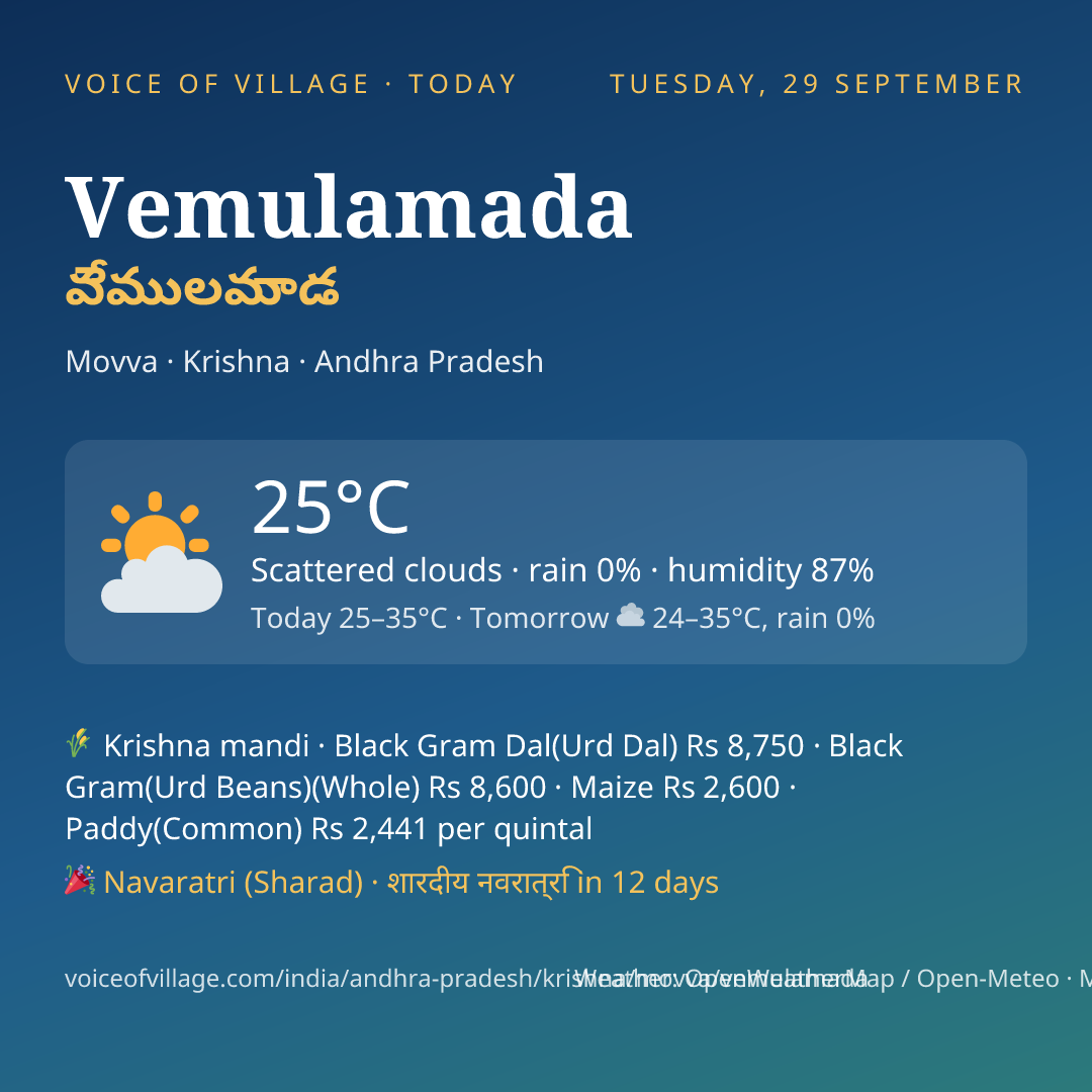 Vemulamada today