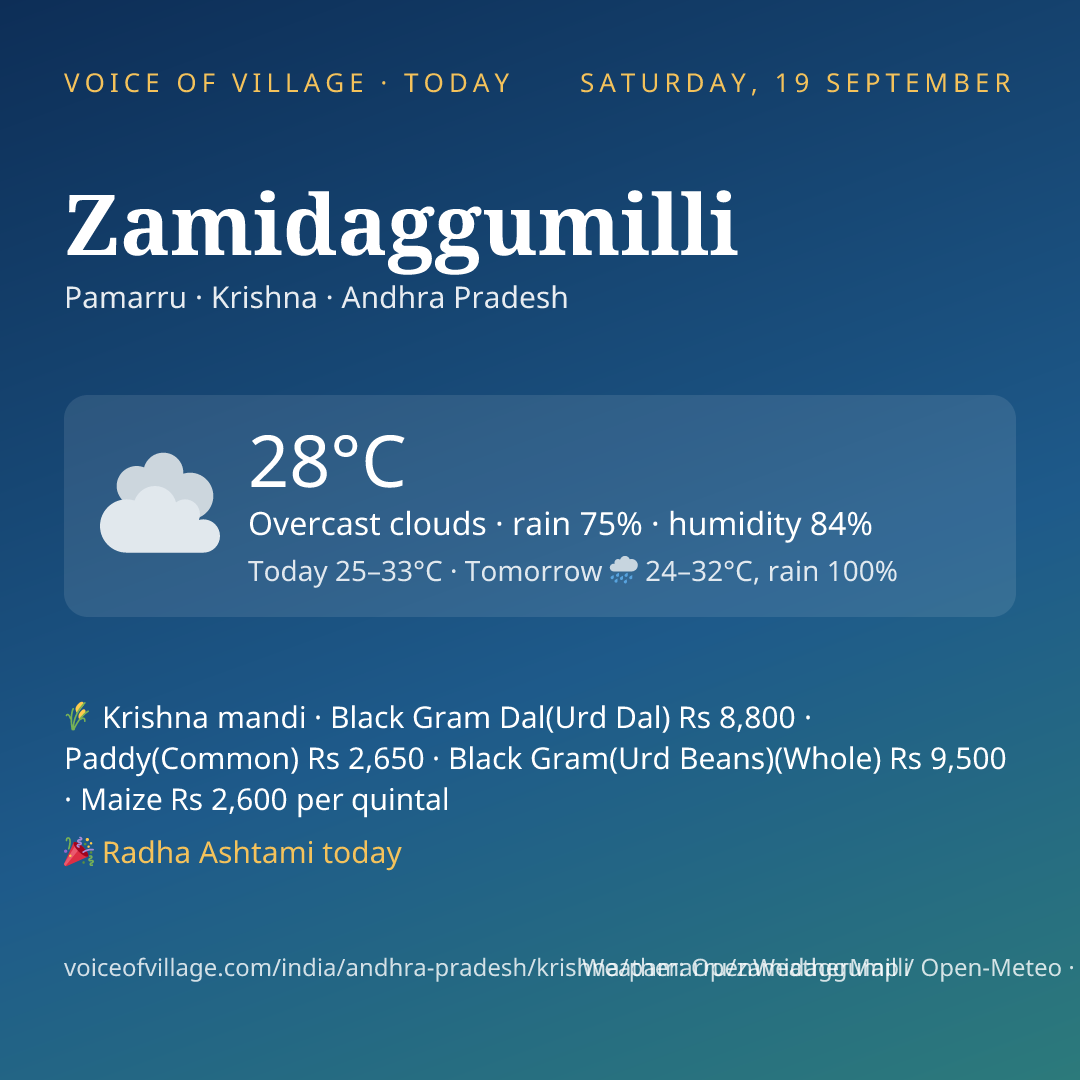 Zamidaggumilli today