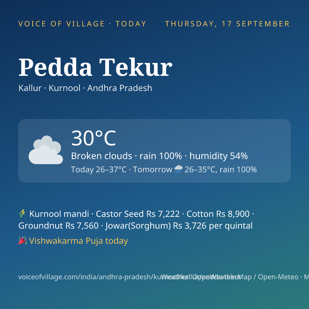 Pedda Tekur today
