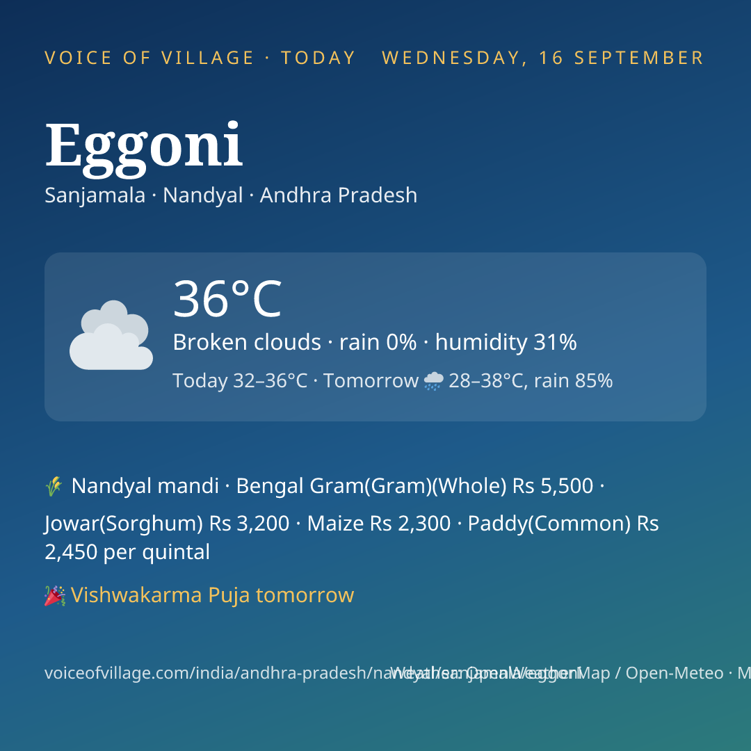 Eggoni today