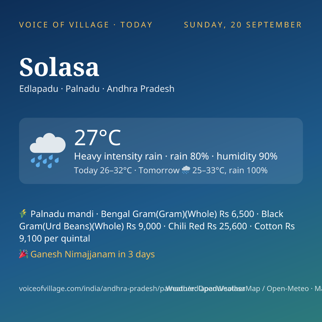 Solasa today