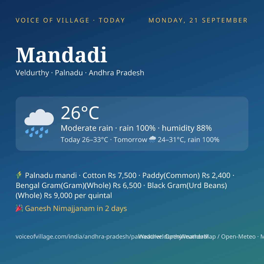 Mandadi today