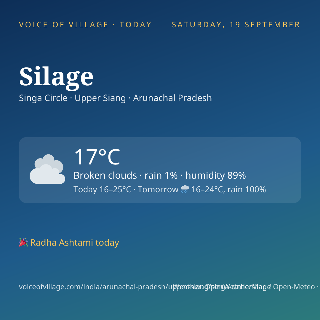 Silage today