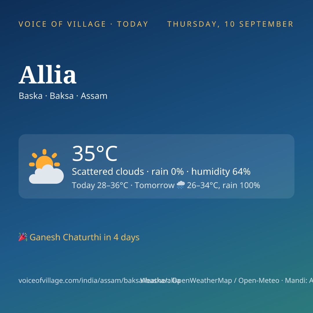 Allia today