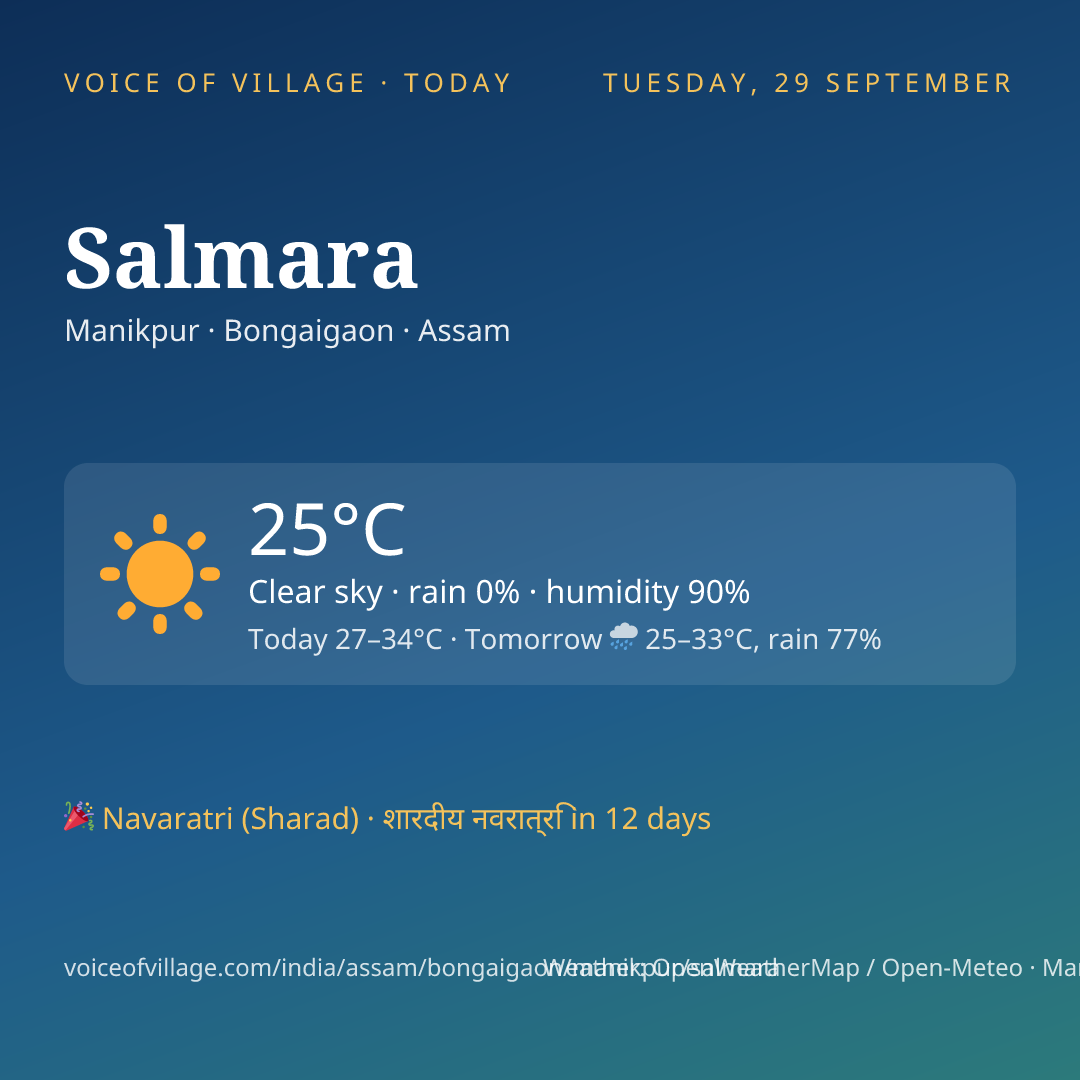 Salmara today