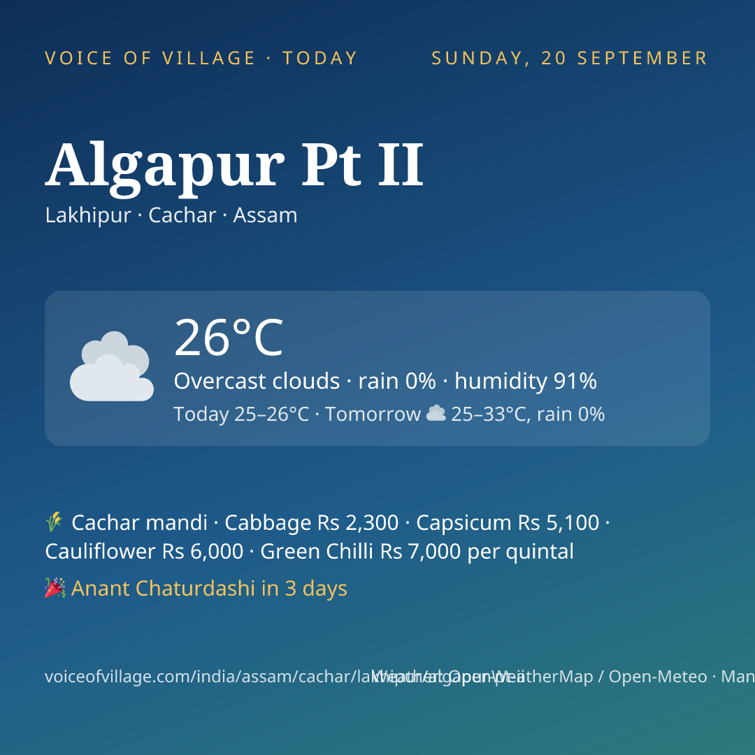 Algapur Pt II today