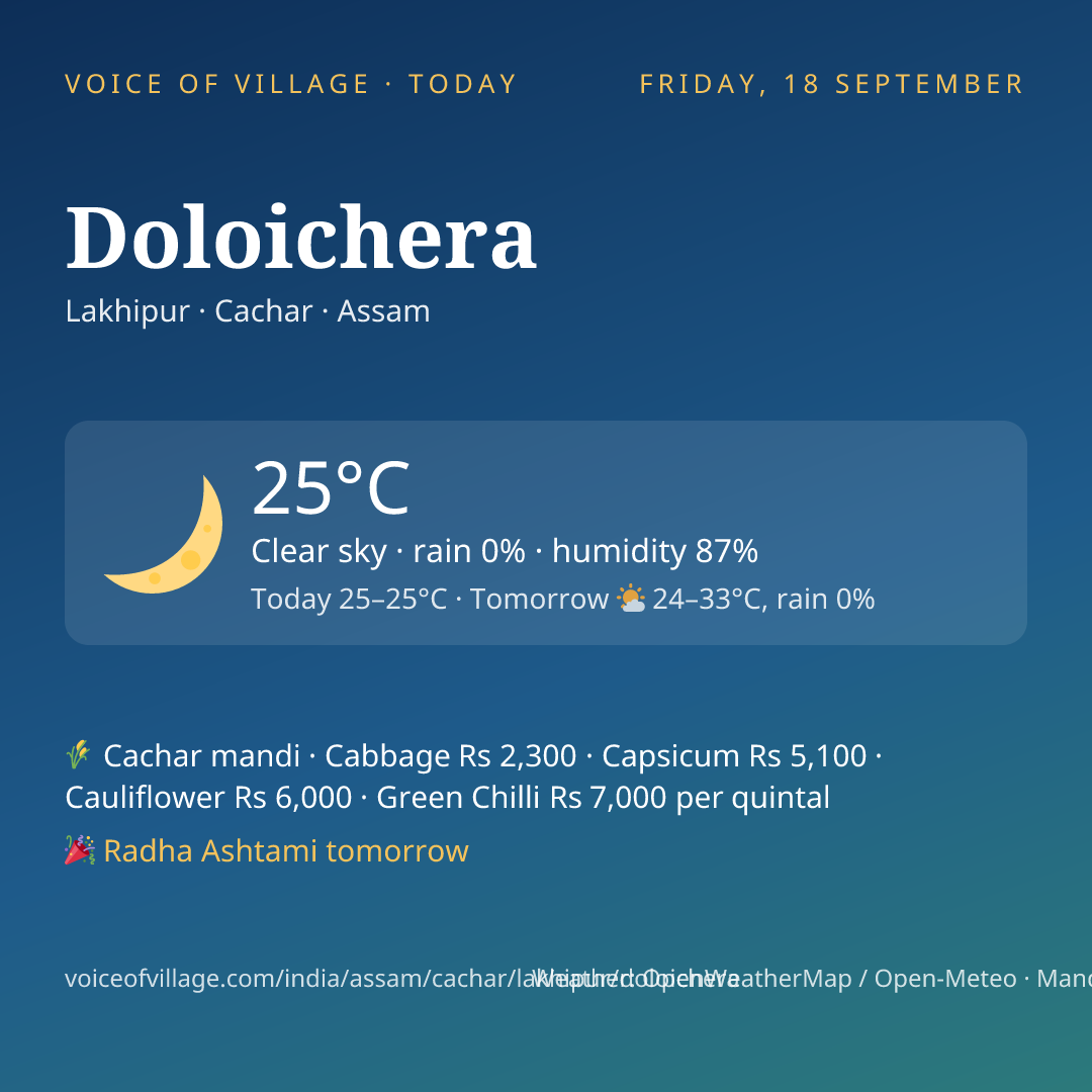 Doloichera today