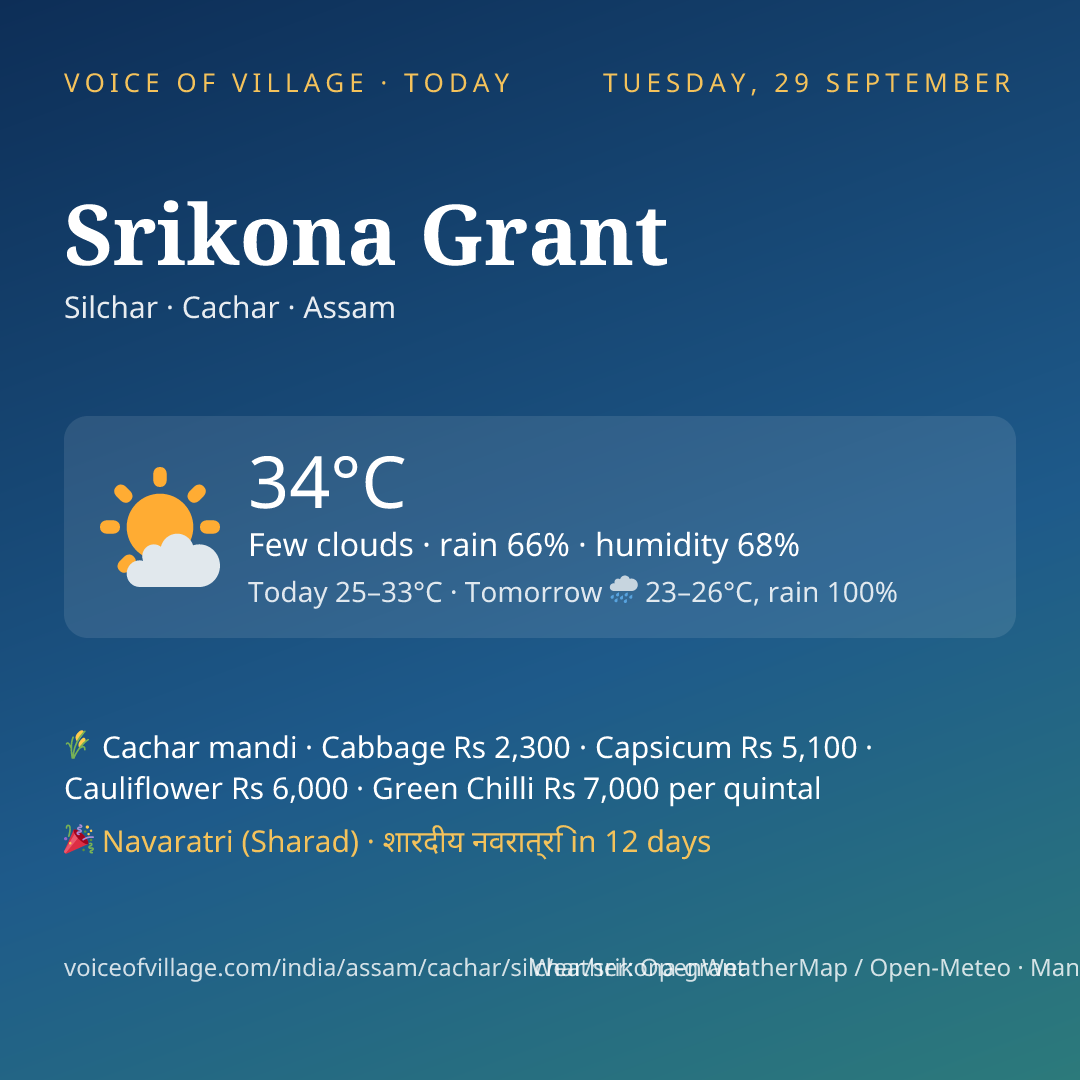 Srikona Grant today