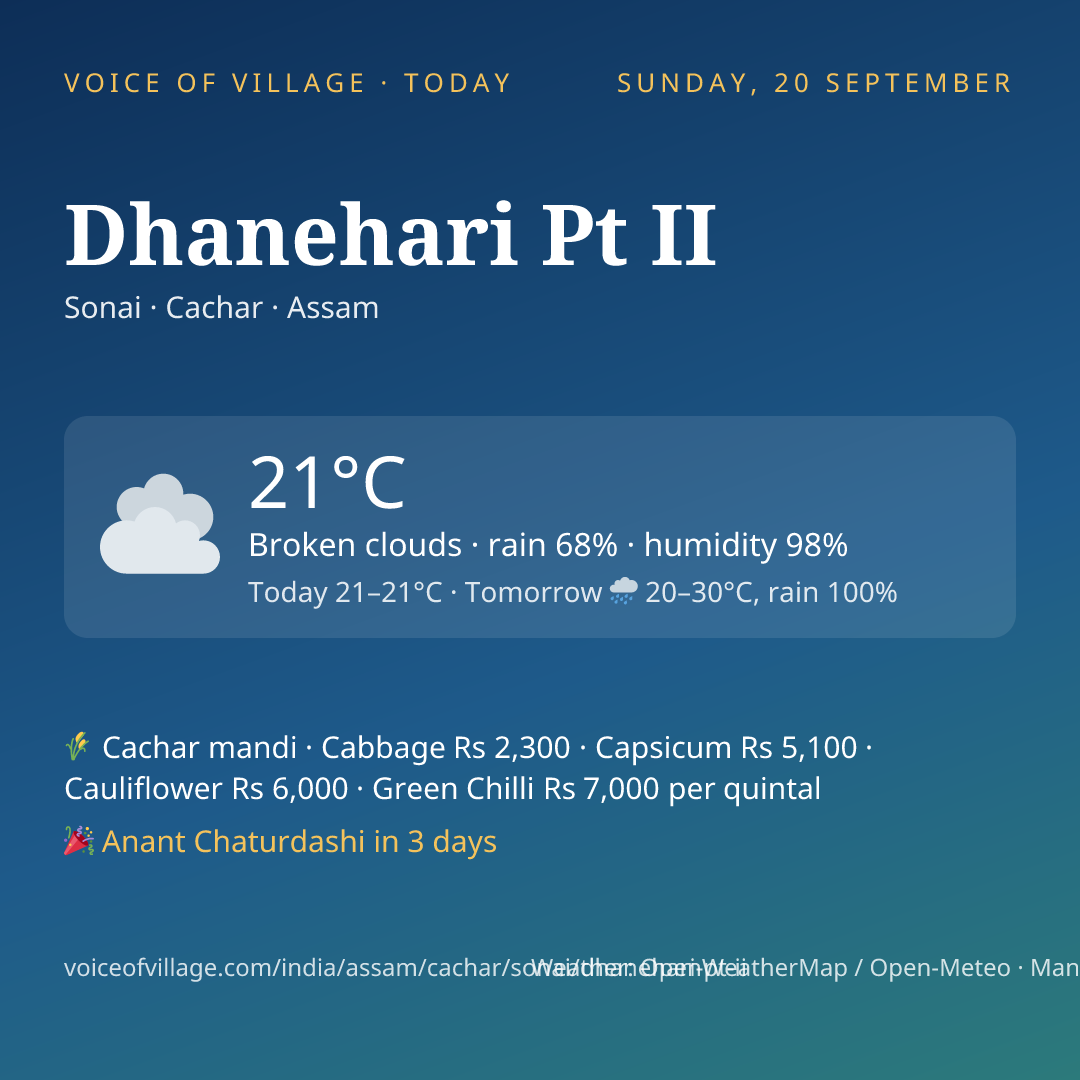 Dhanehari Pt II today