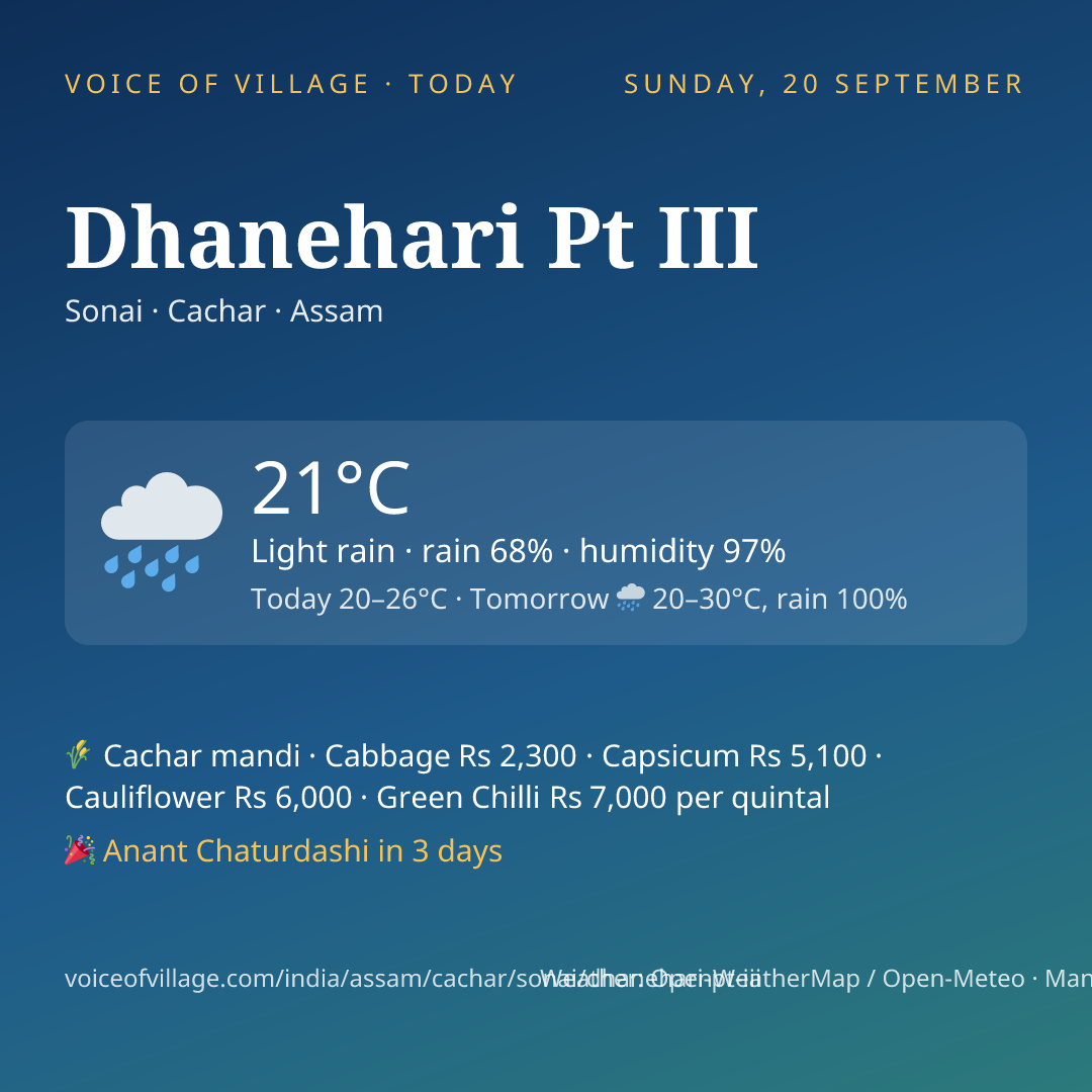 Dhanehari Pt III today