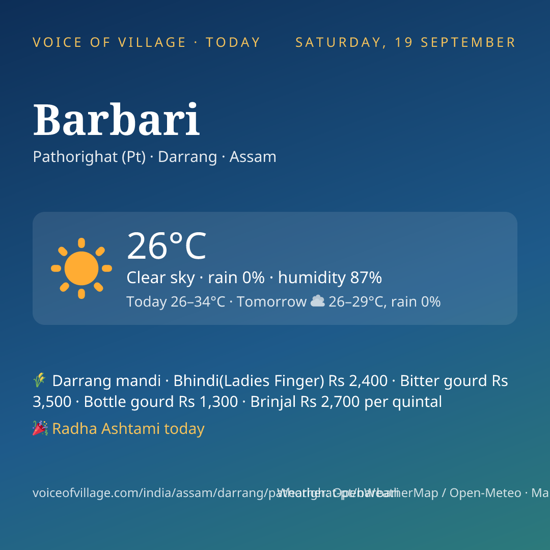 Barbari today