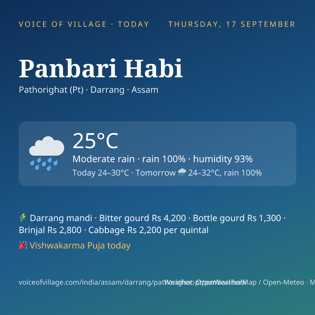 Panbari Habi today