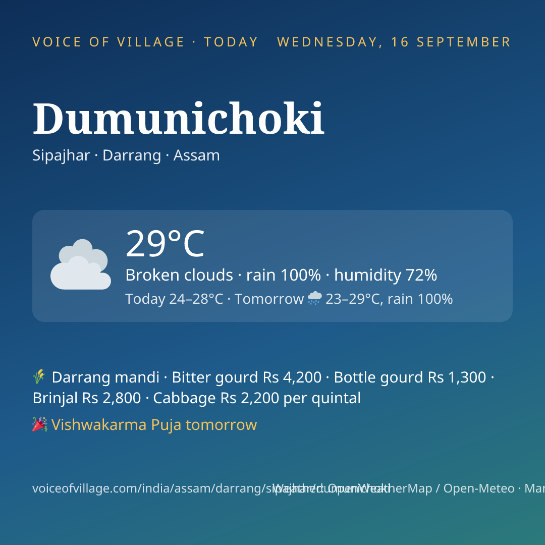 Dumunichoki today