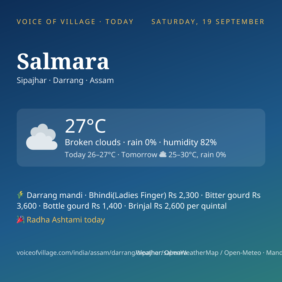 Salmara today