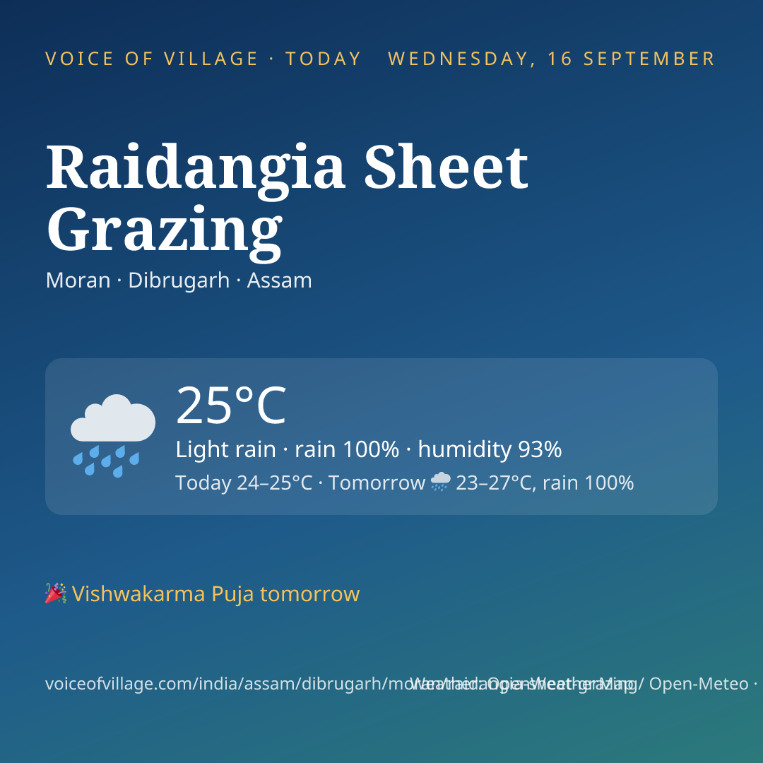 Raidangia Sheet Grazing today