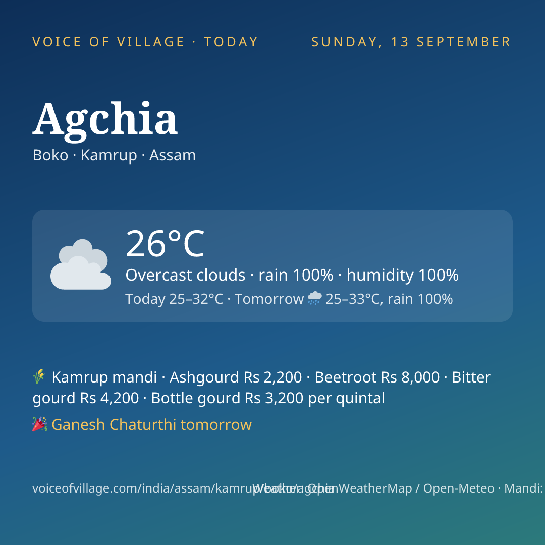 Agchia today