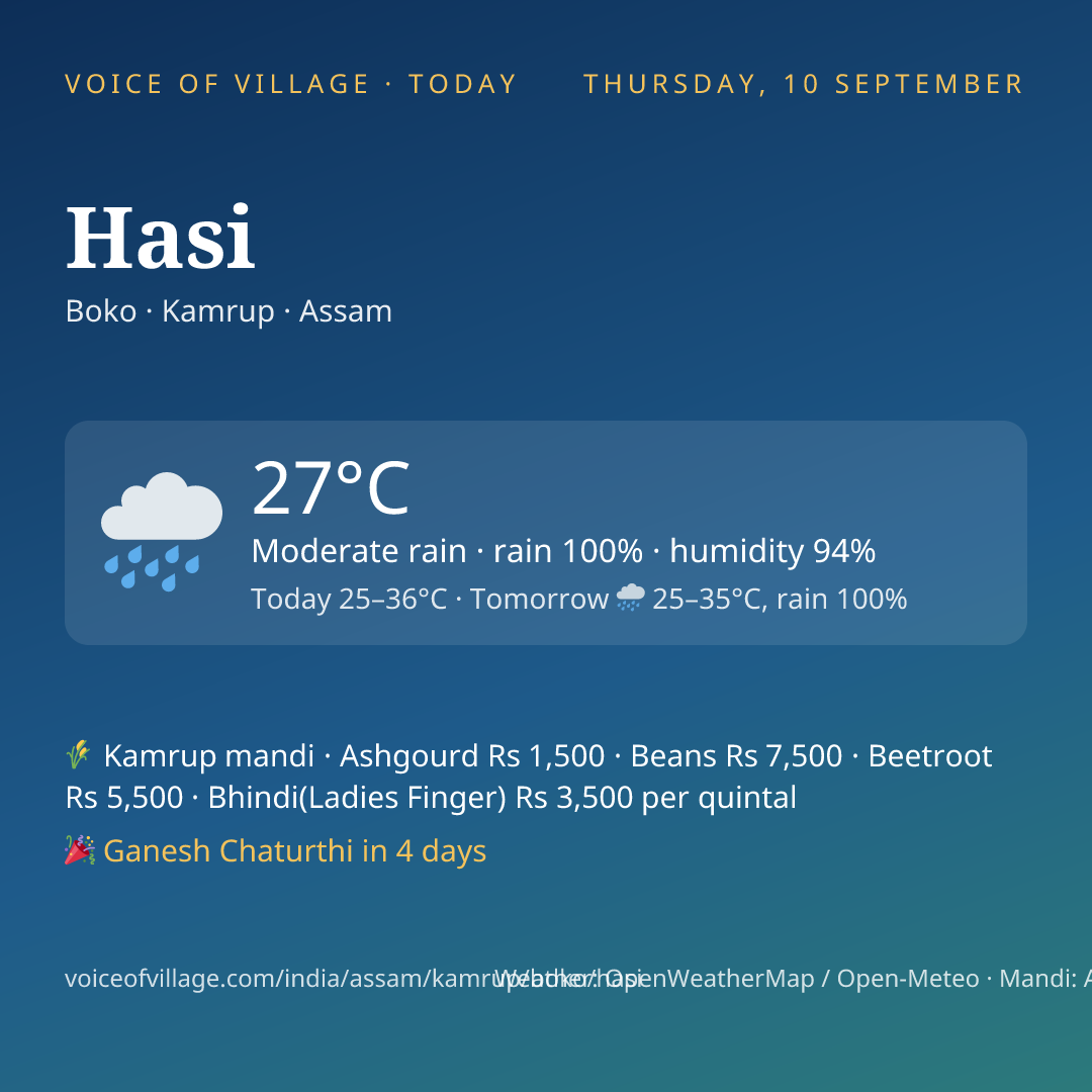 Hasi today