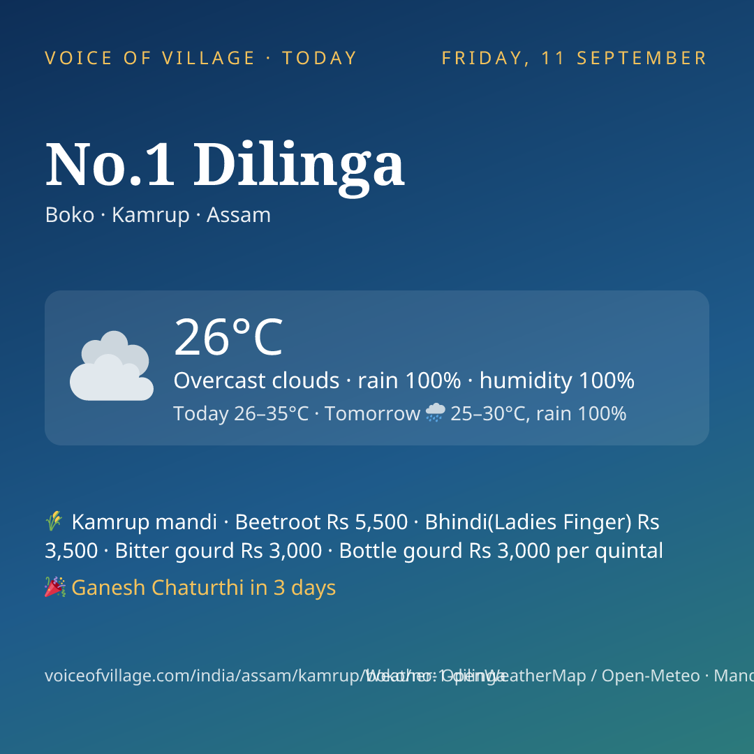 No.1 Dilinga today