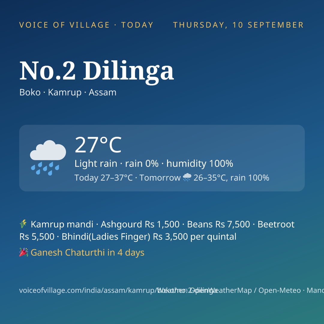 No.2 Dilinga today