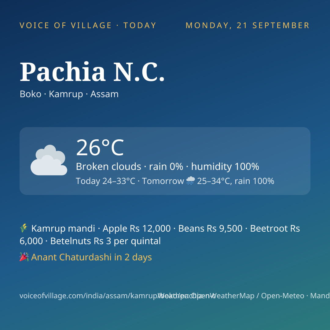 Pachia N.C. today