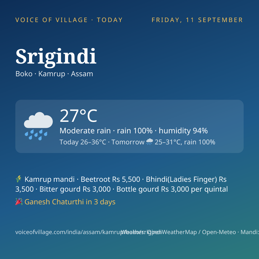 Srigindi today