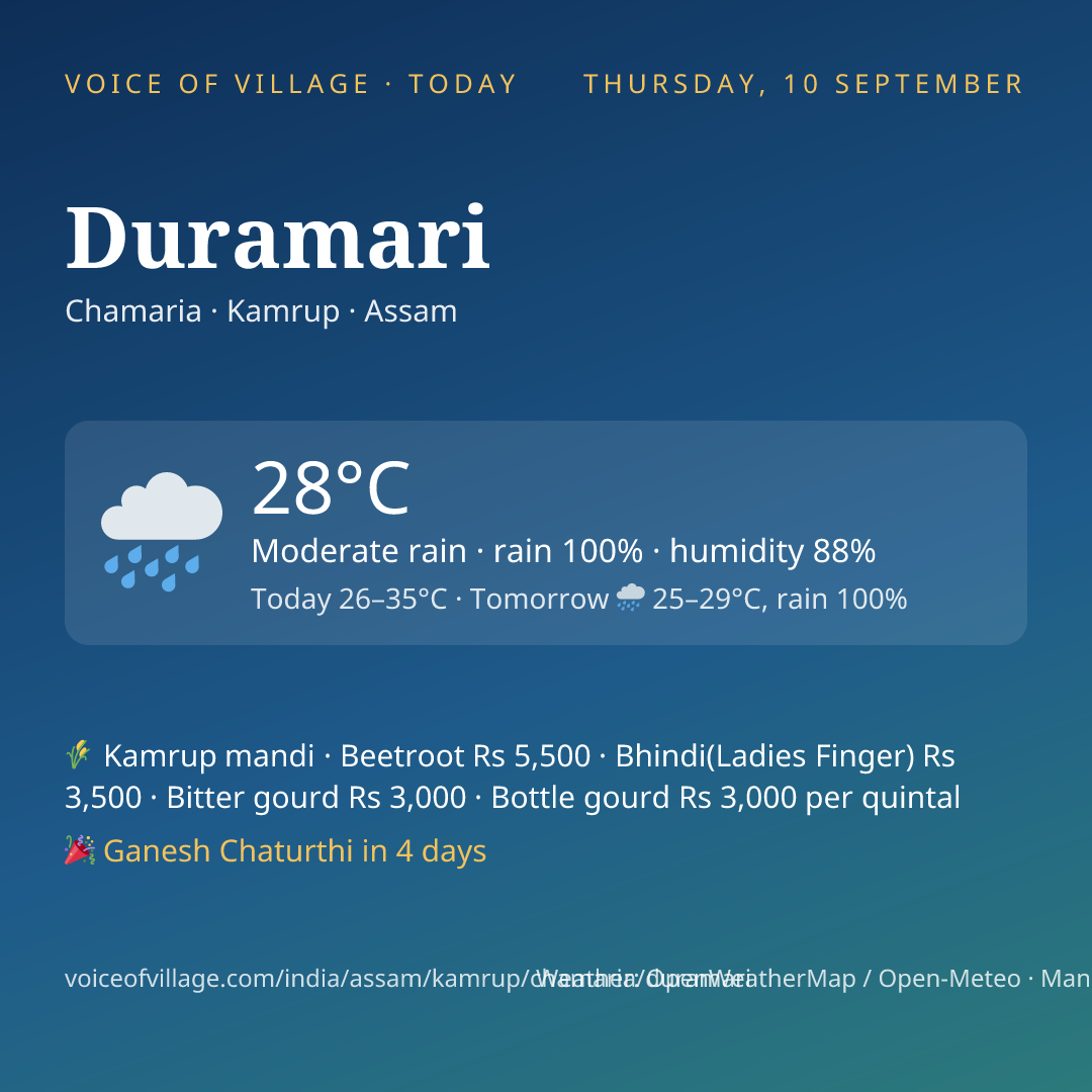 Duramari today