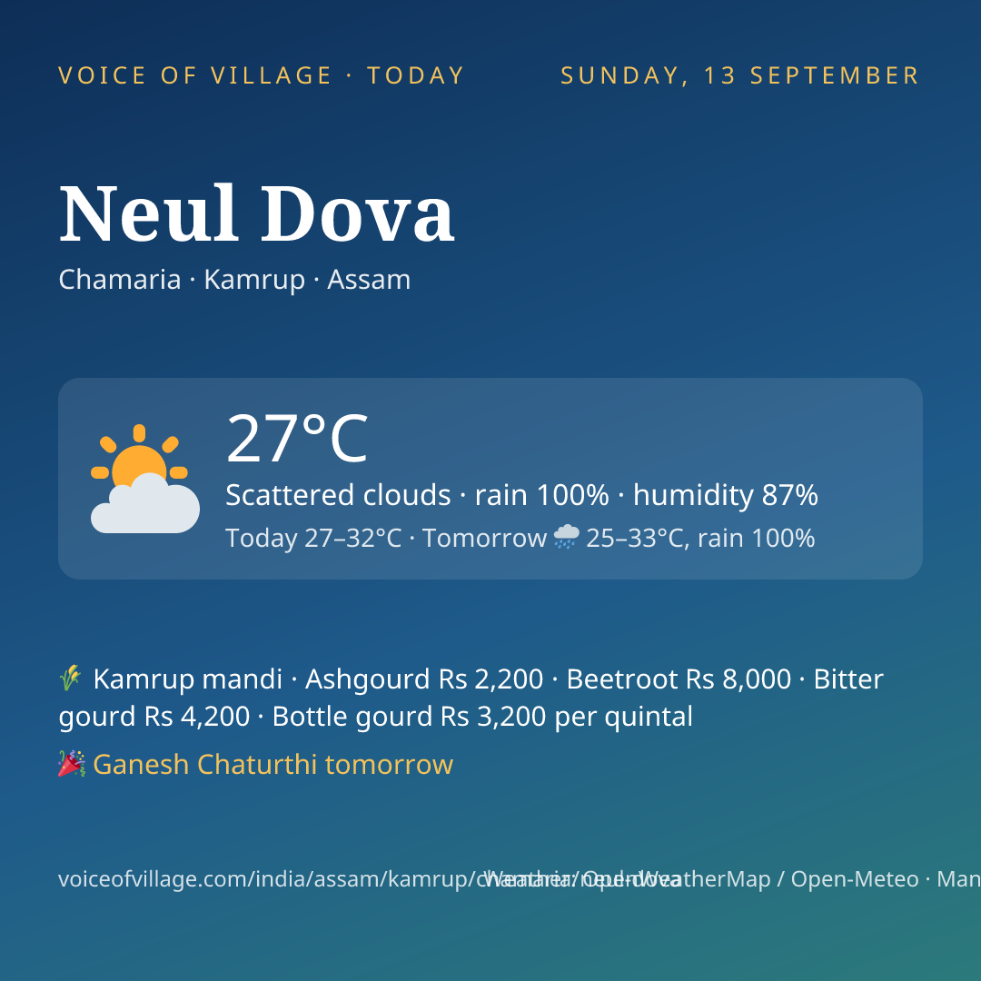 Neul Dova today