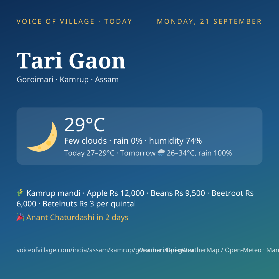 Tari Gaon today