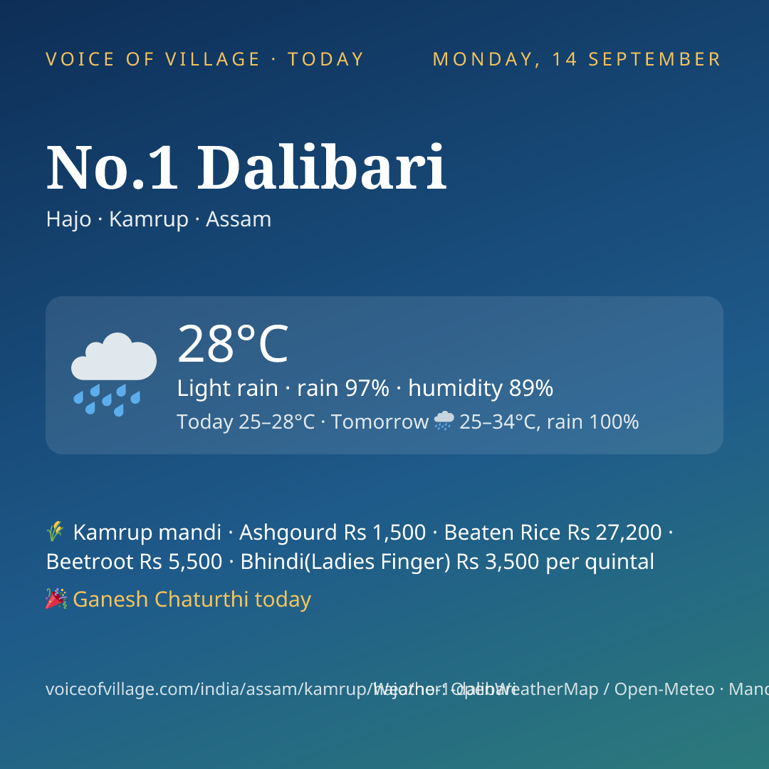 No.1 Dalibari today