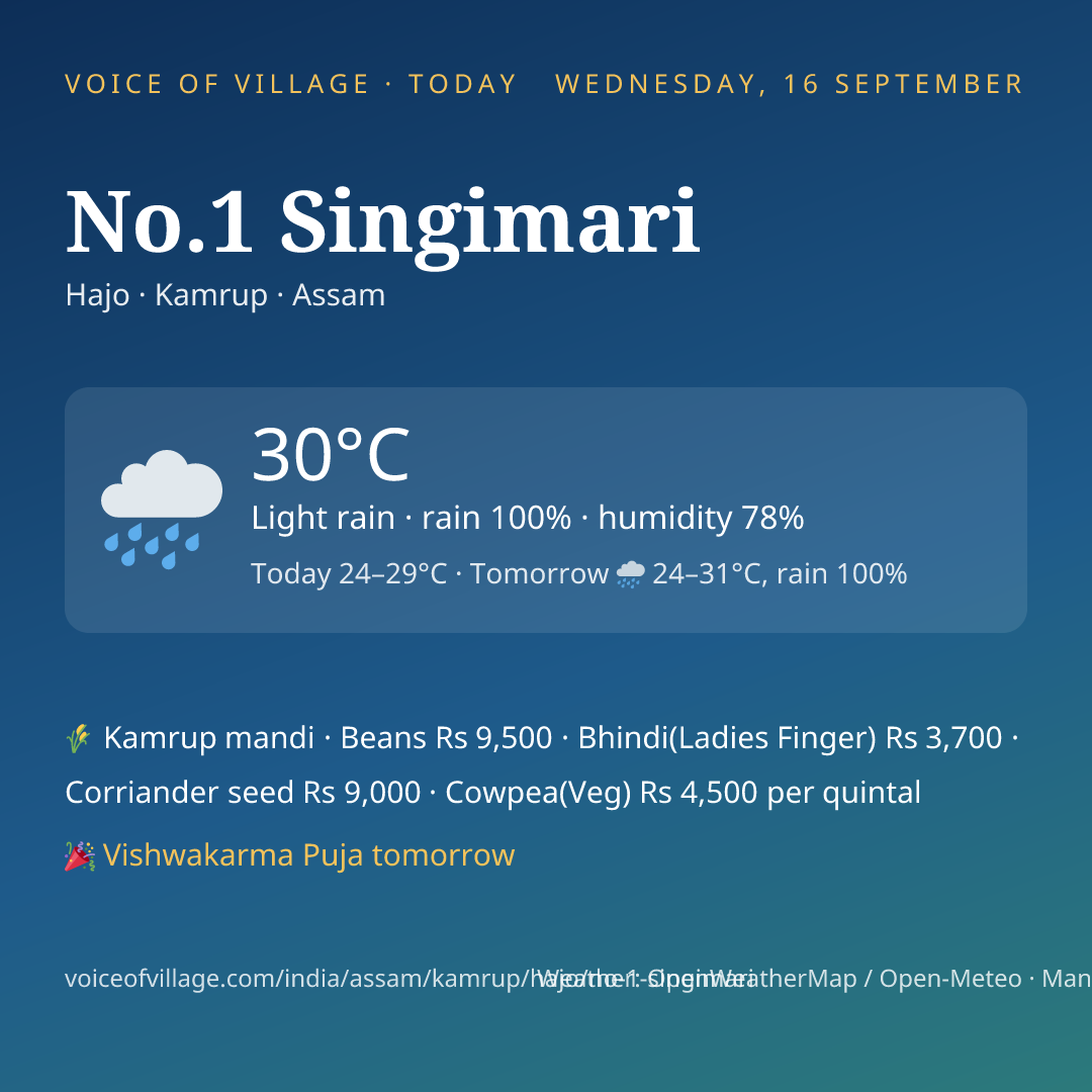 No.1 Singimari today