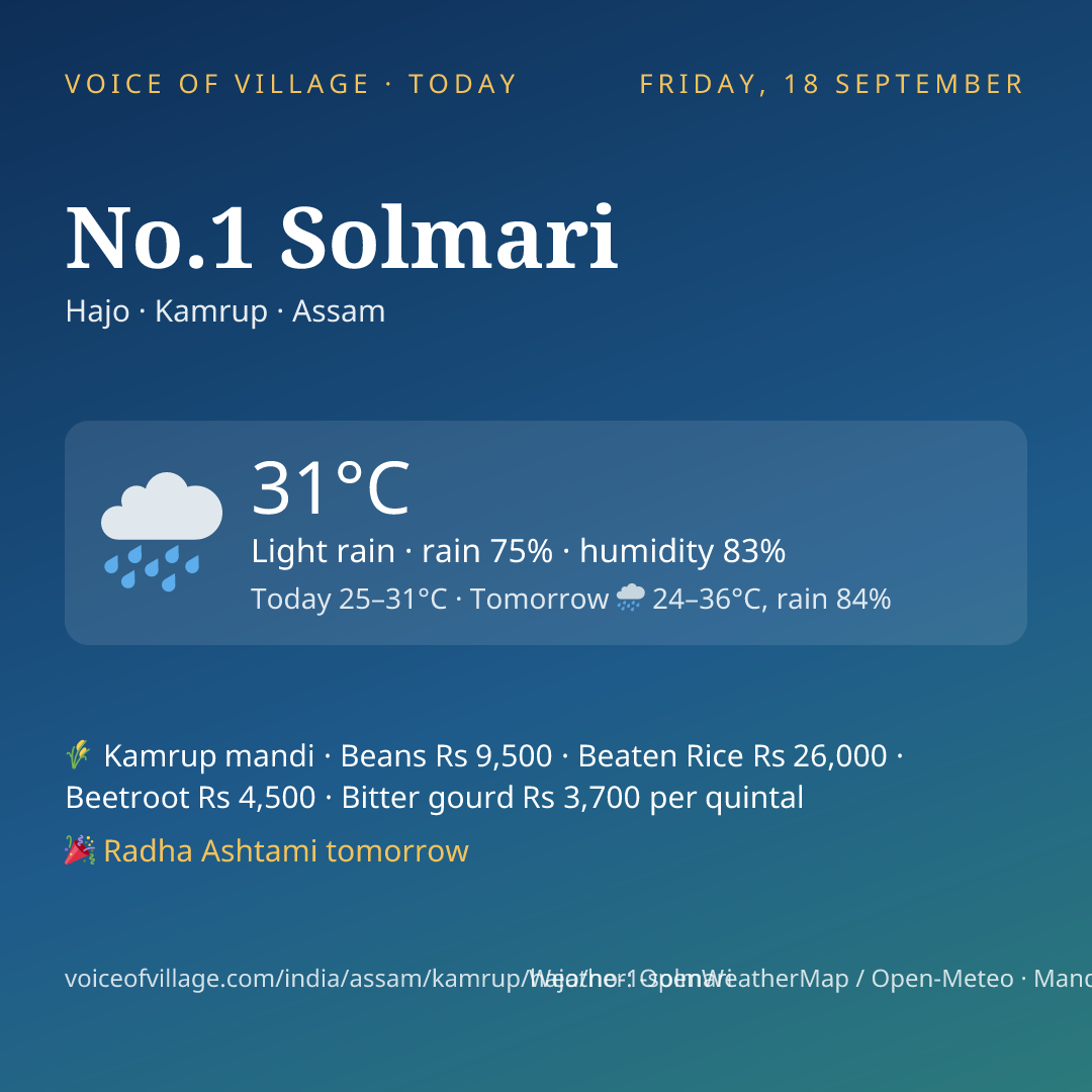 No.1 Solmari today