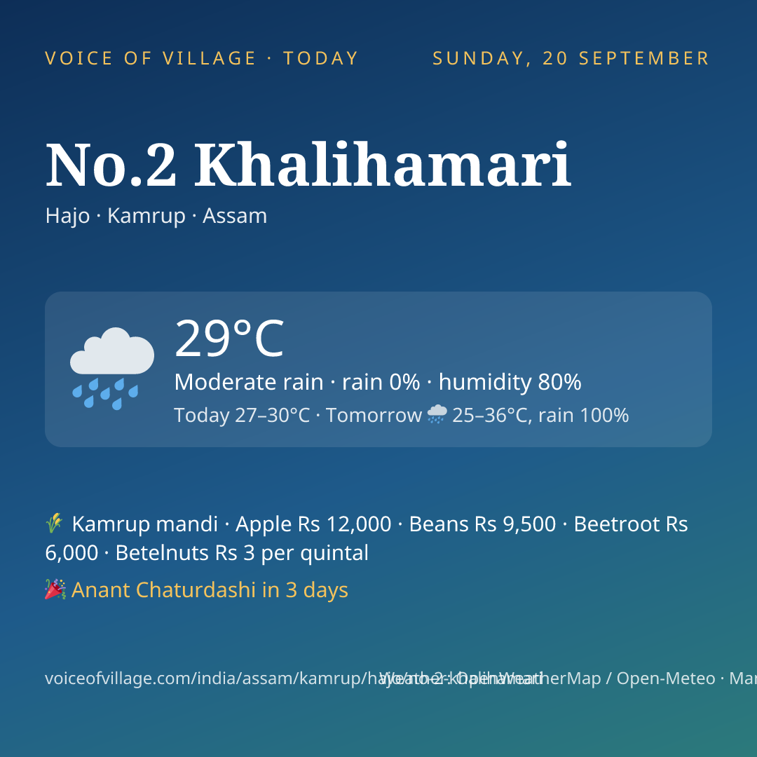 No.2 Khalihamari today