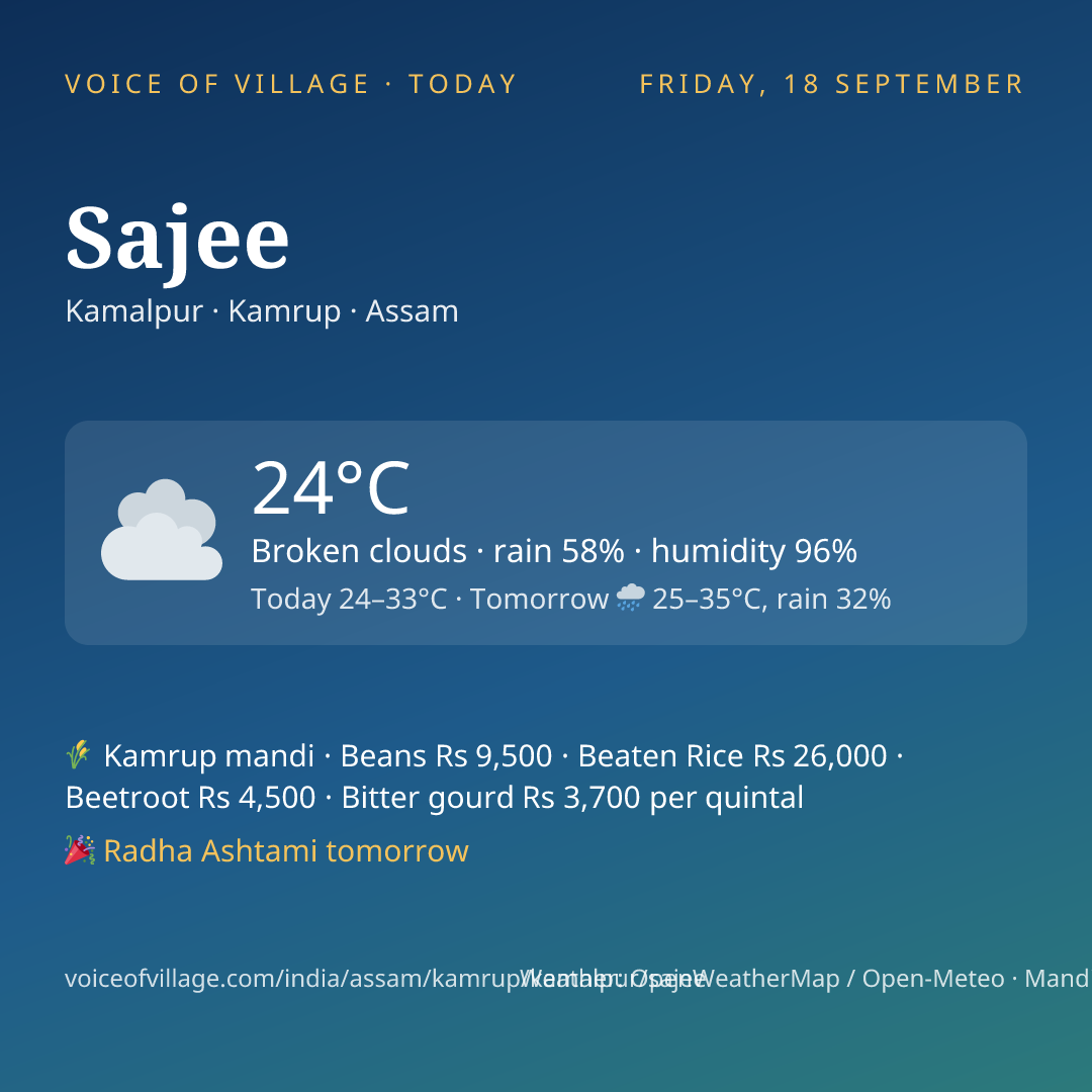 Sajee today