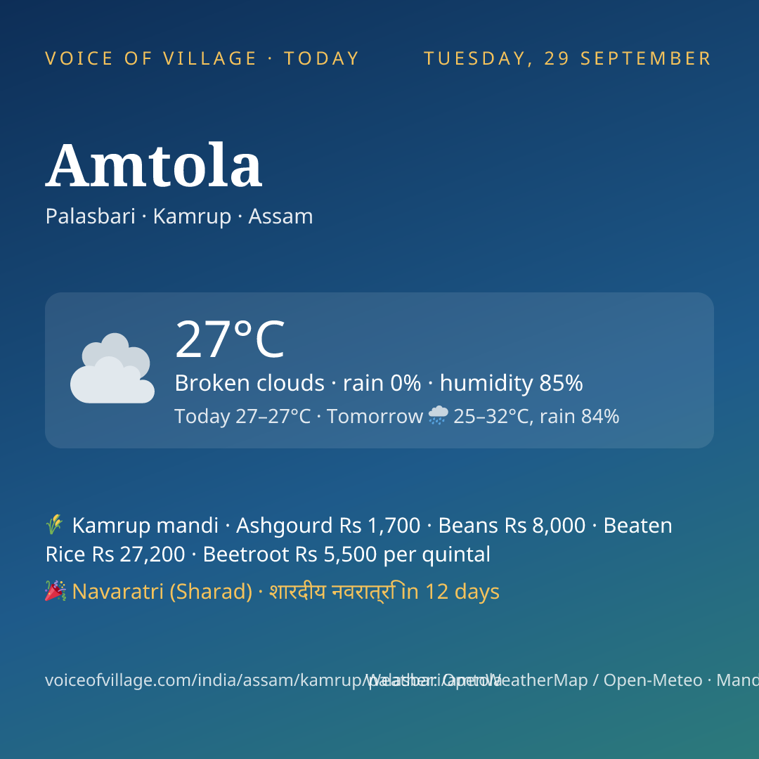 Amtola today
