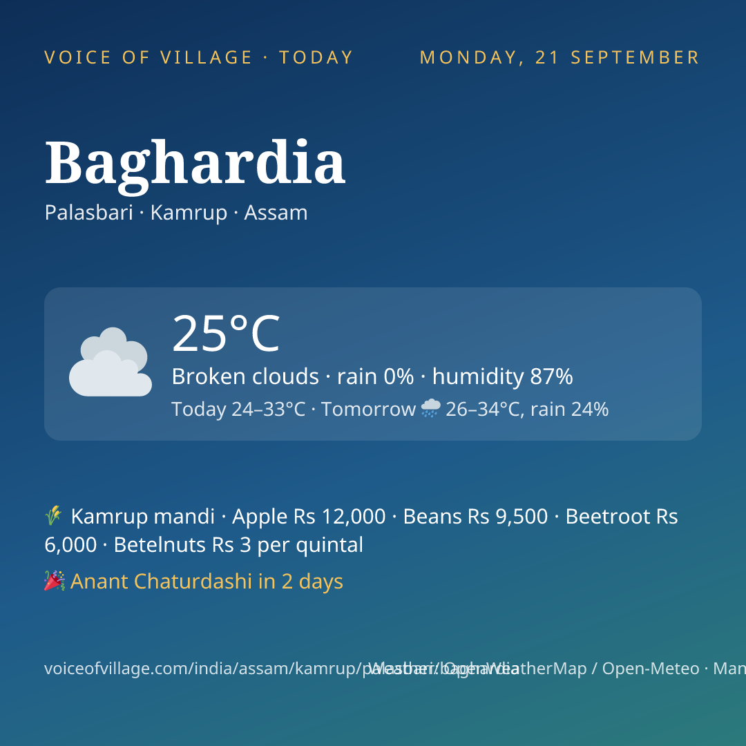 Baghardia today