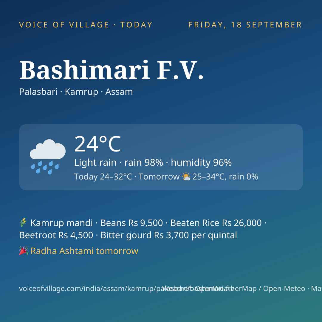 Bashimari F.V. today