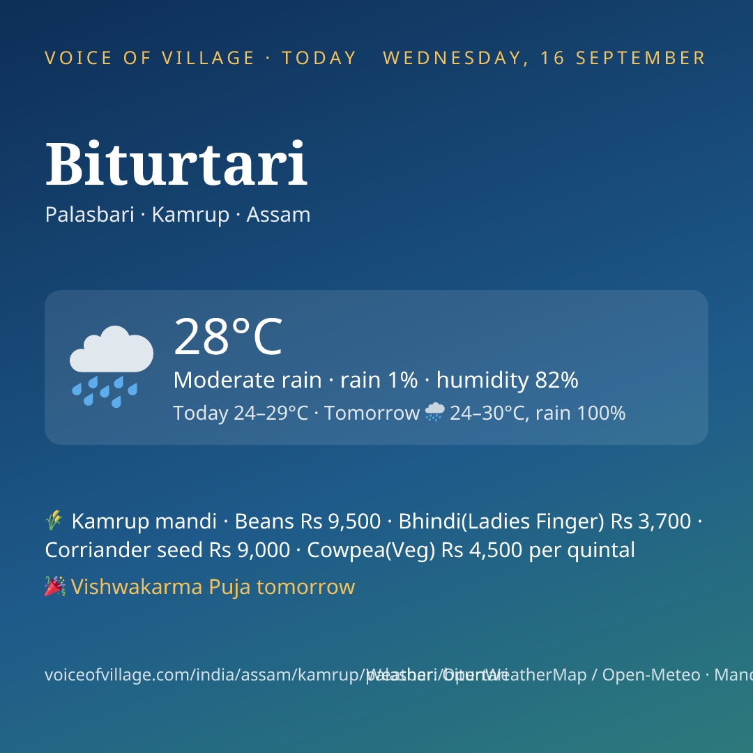 Biturtari today