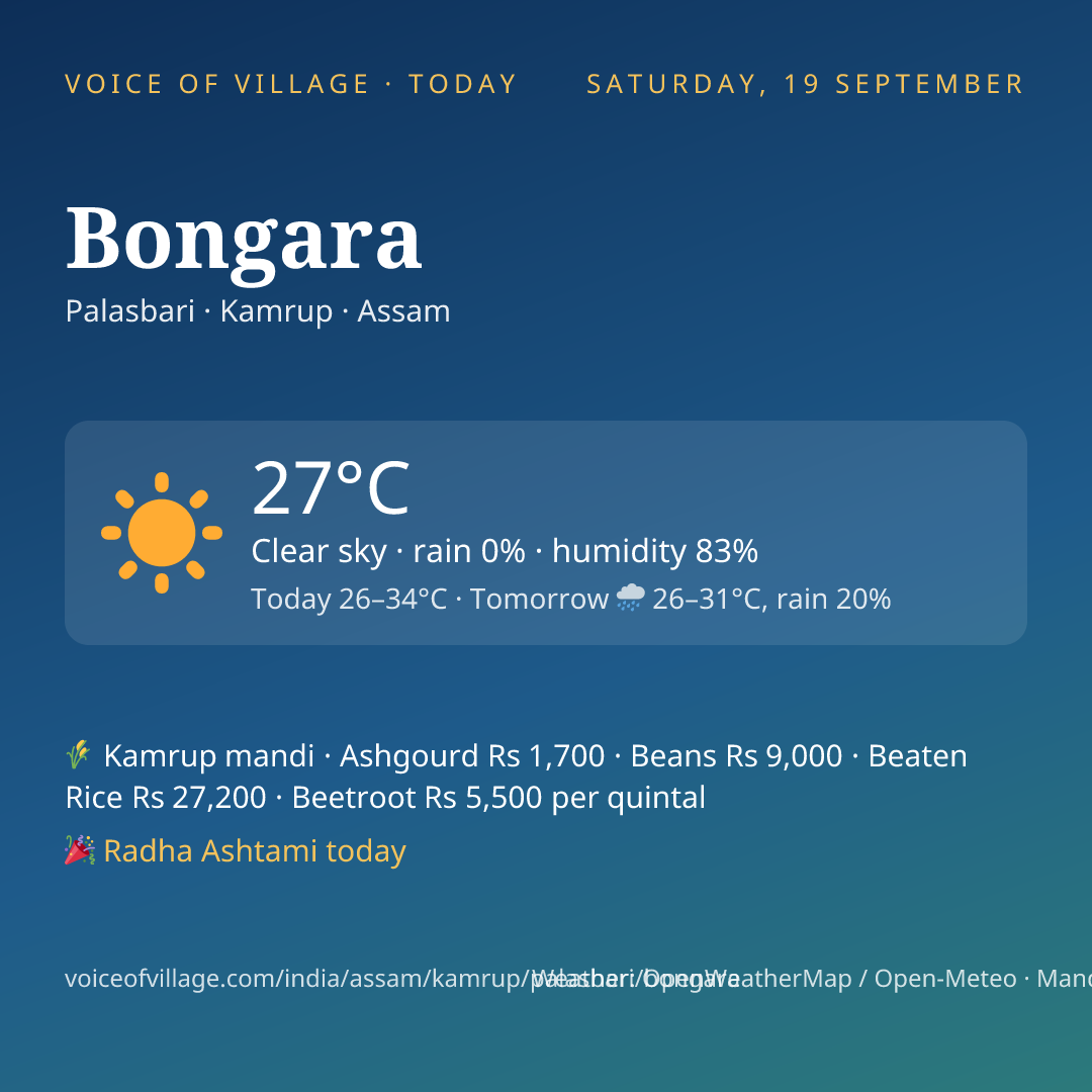 Bongara today